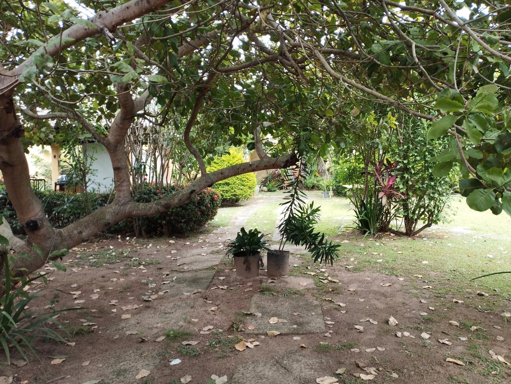 Lumiar Garden Suites E Chales Em Vilas Do Atlantico Lauro de Freitas Ngoại thất bức ảnh