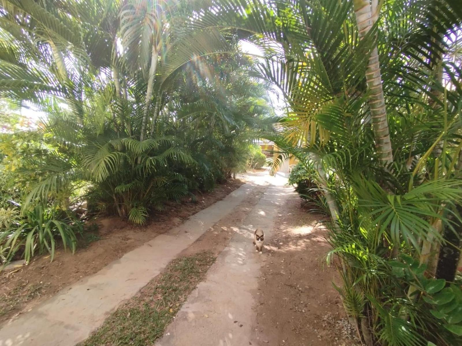 Lumiar Garden Suites E Chales Em Vilas Do Atlantico Lauro de Freitas Ngoại thất bức ảnh