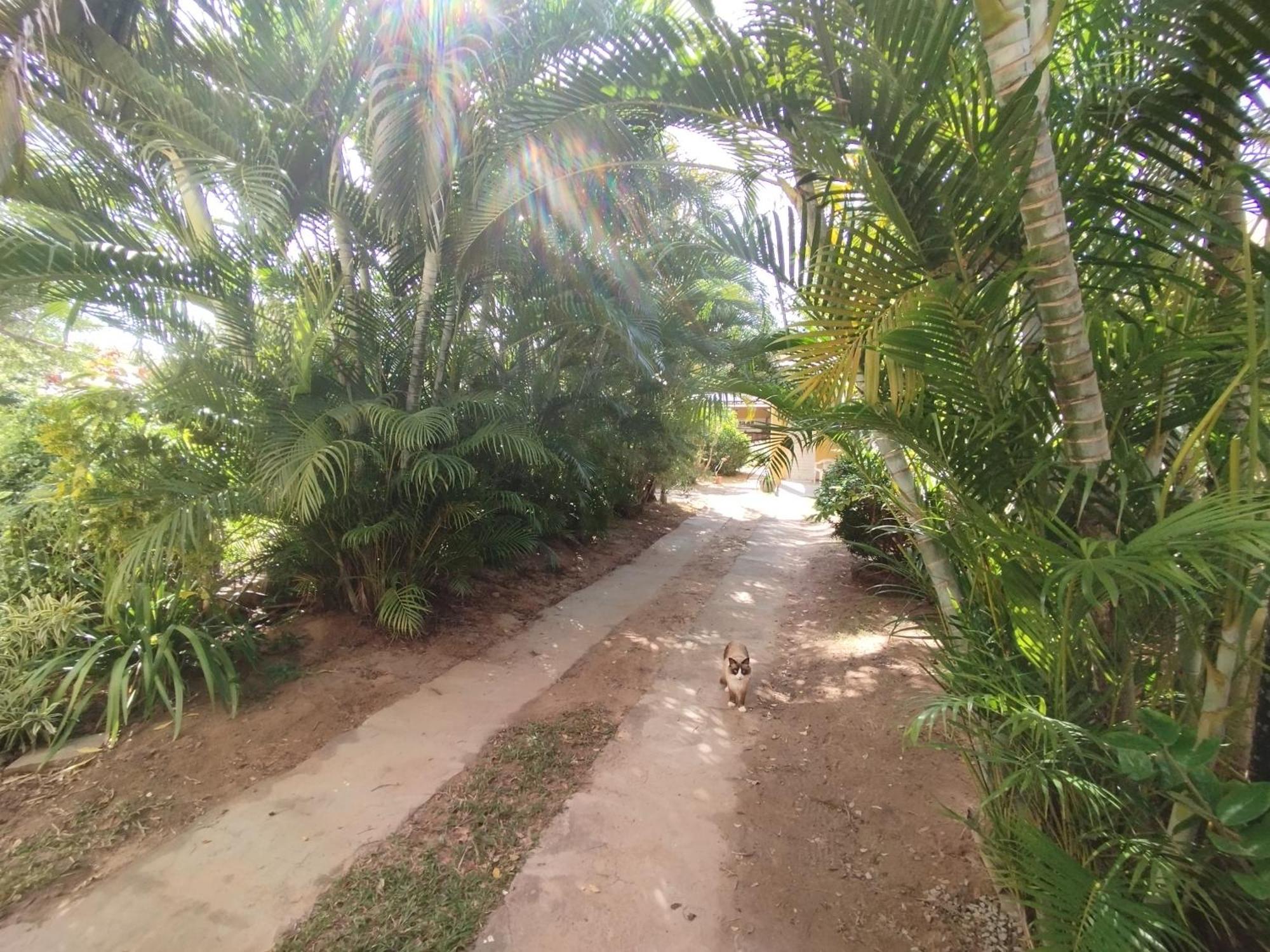 Lumiar Garden Suites E Chales Em Vilas Do Atlantico Lauro de Freitas Ngoại thất bức ảnh